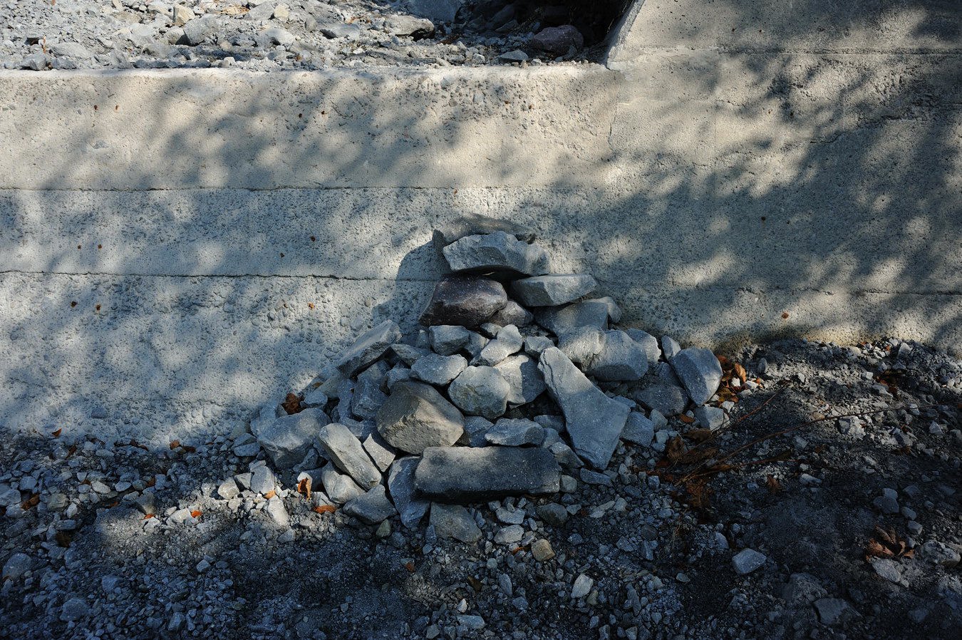 c0138991_20405358.jpg