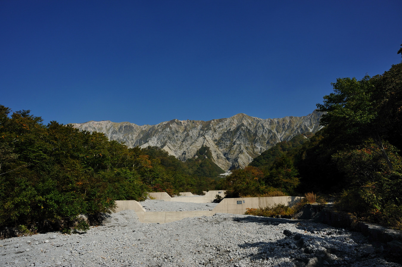 c0138991_20473552.jpg