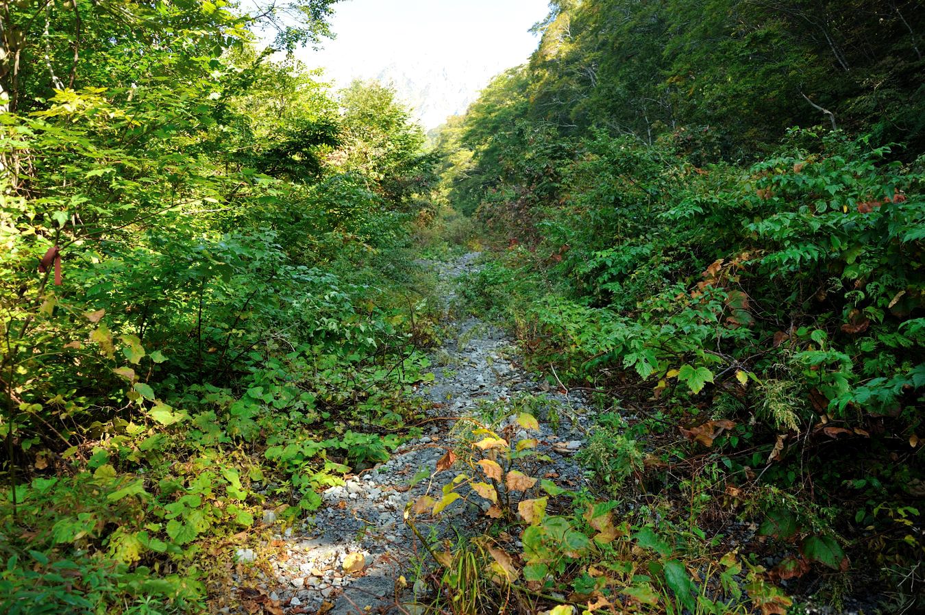 c0138991_20502350.jpg