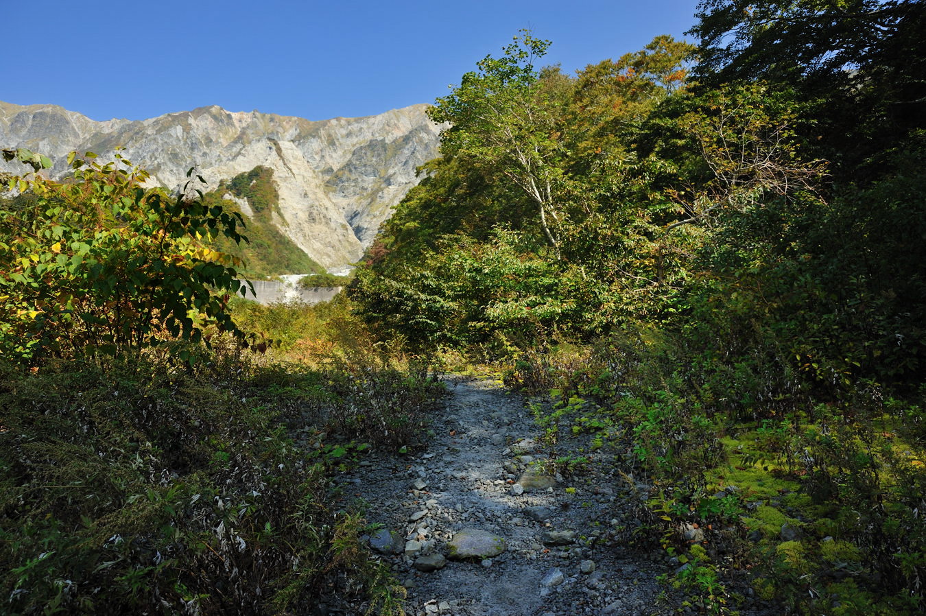 c0138991_20595081.jpg
