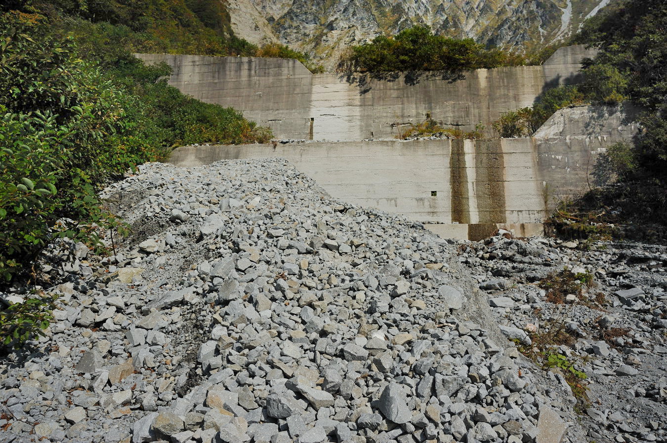 c0138991_21153886.jpg