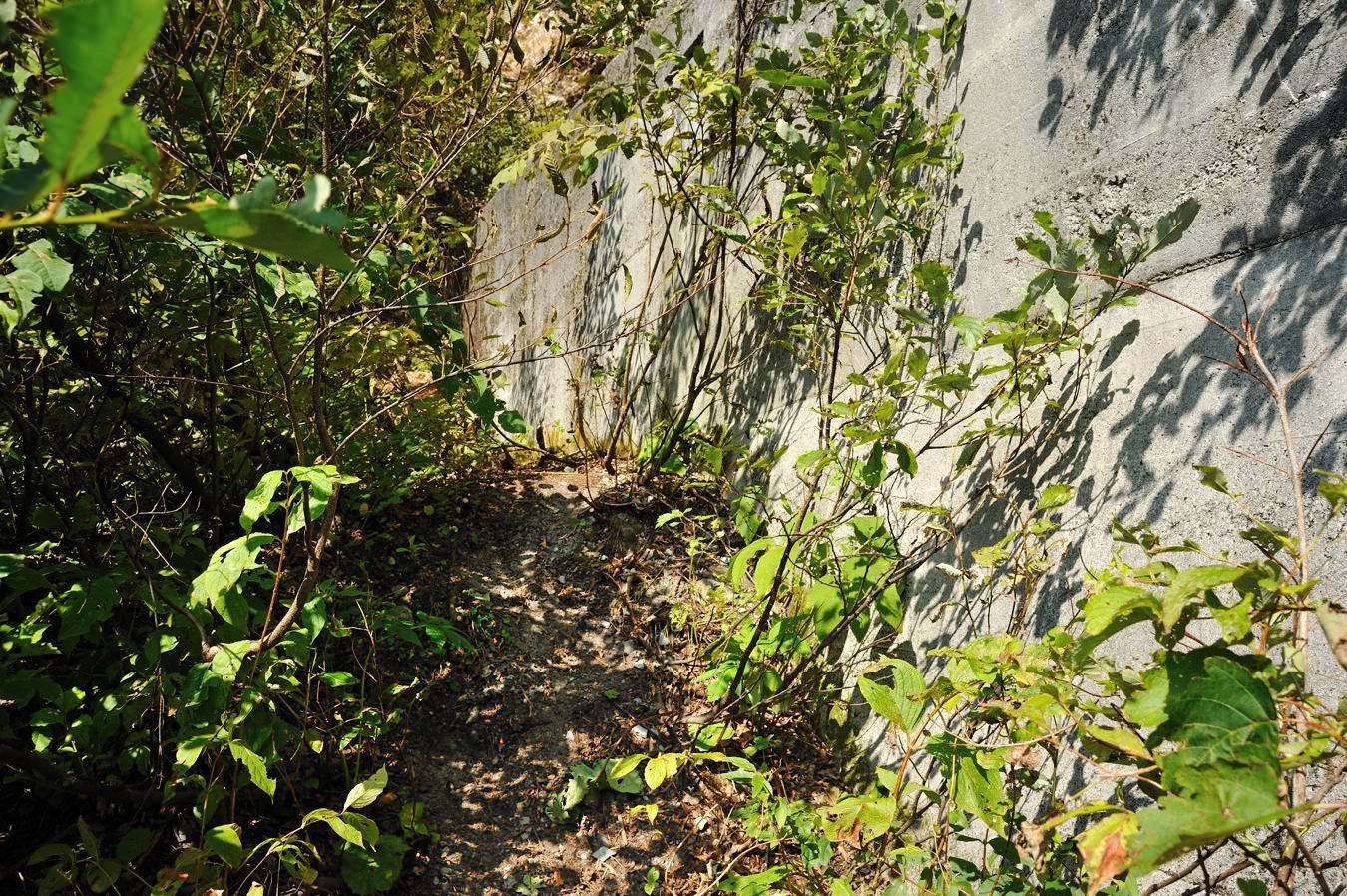 c0138991_21212148.jpg
