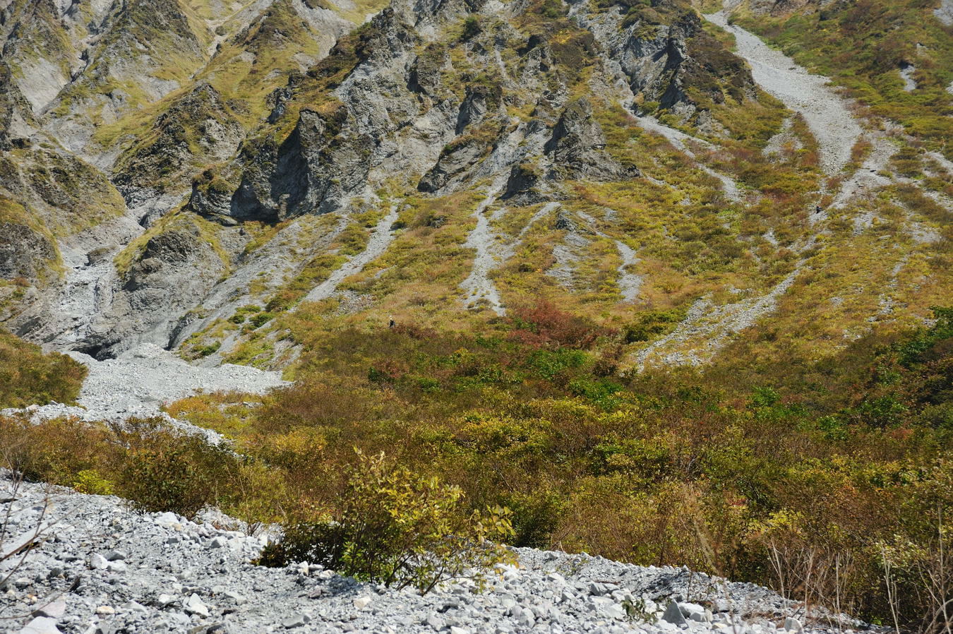 c0138991_21451512.jpg