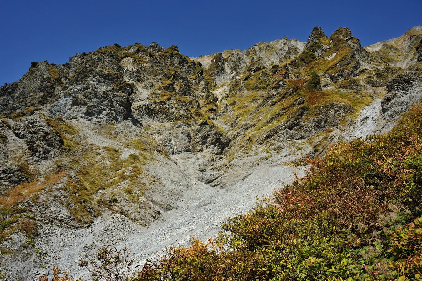 c0138991_2154132.jpg