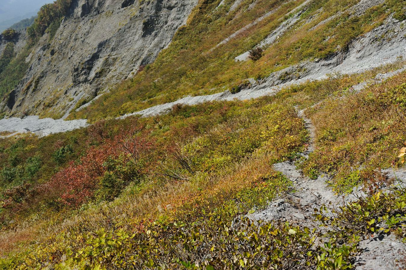 c0138991_21572088.jpg