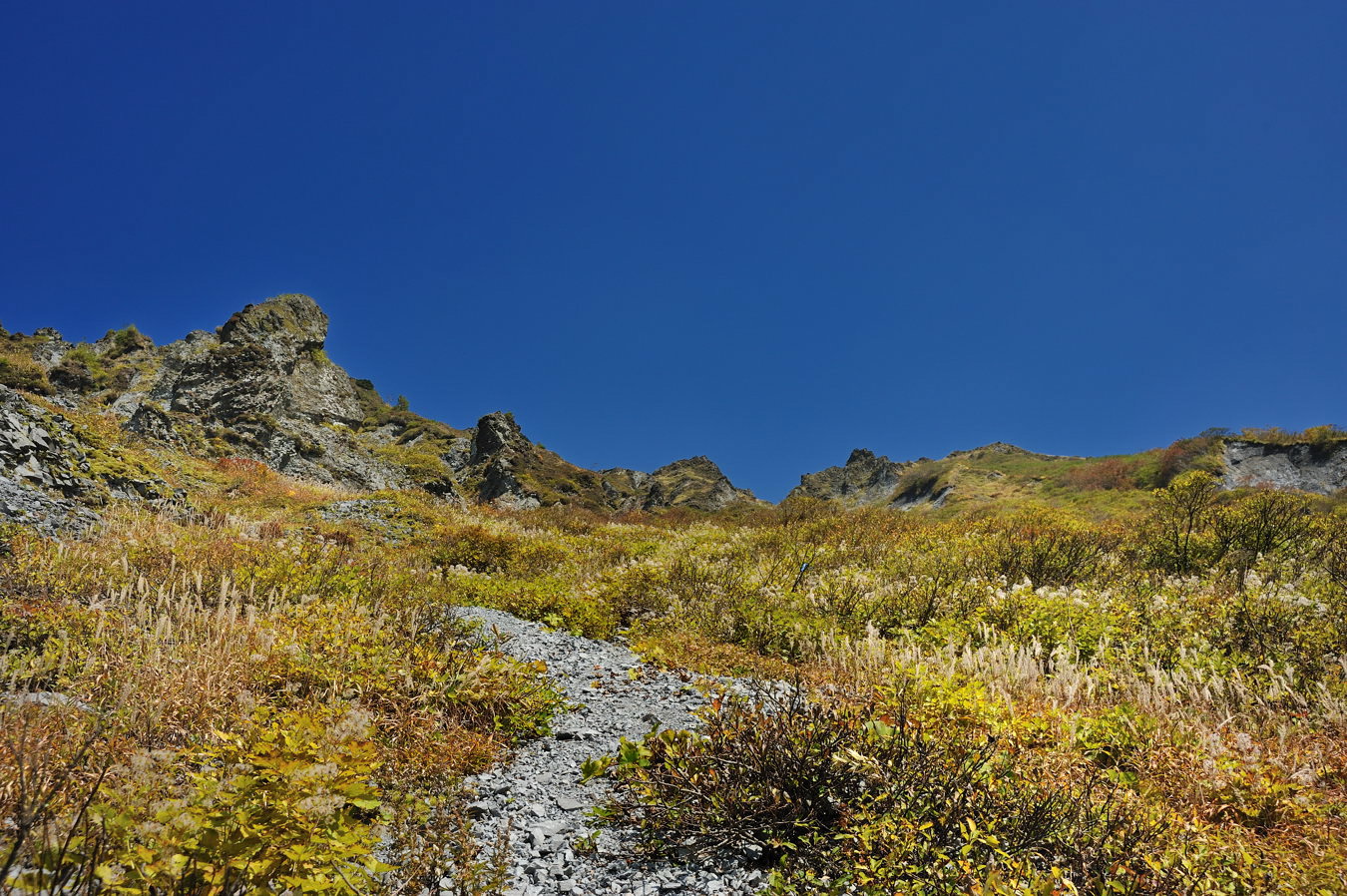 c0138991_21583574.jpg
