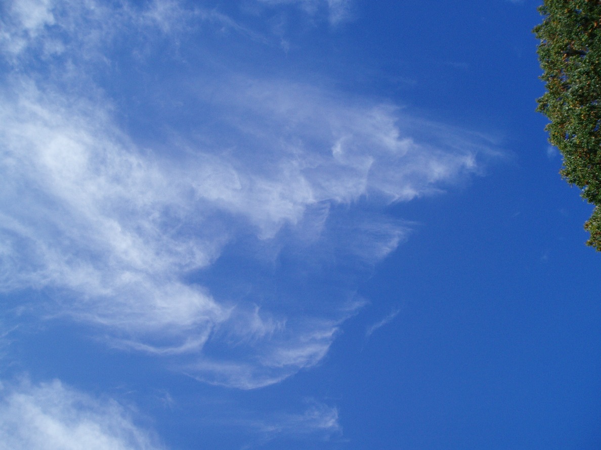 f0221693_20271042.jpg
