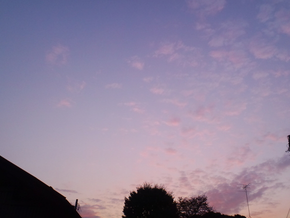 d0135694_04414.jpg