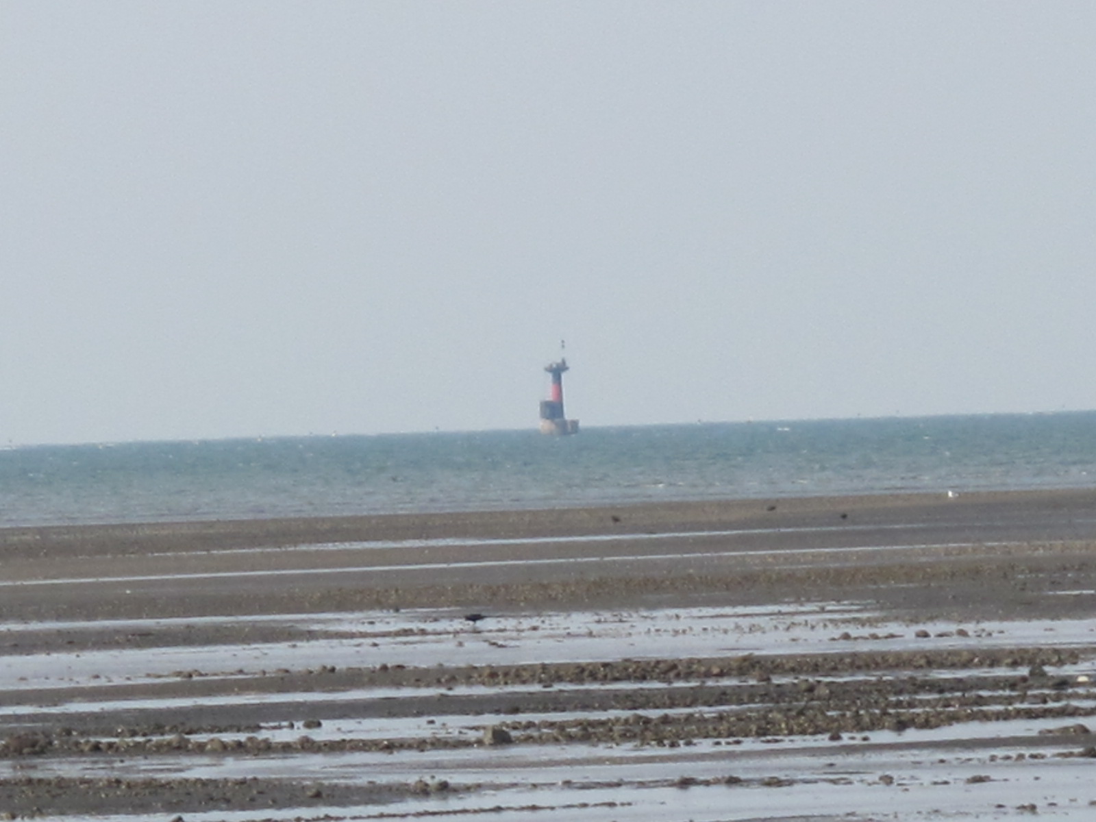 a0166196_21561496.jpg