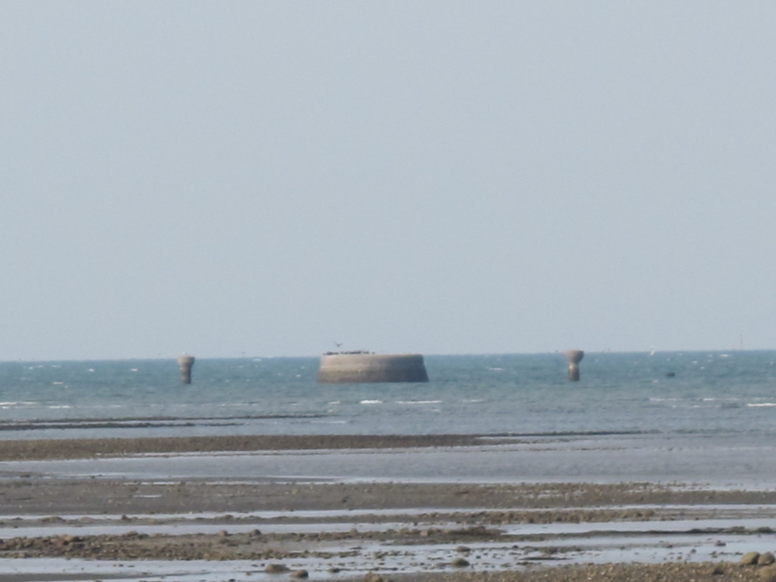 a0166196_21563440.jpg