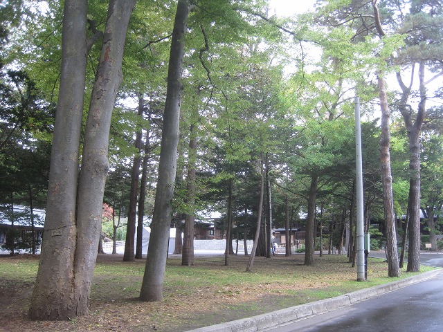 f0202703_2153177.jpg