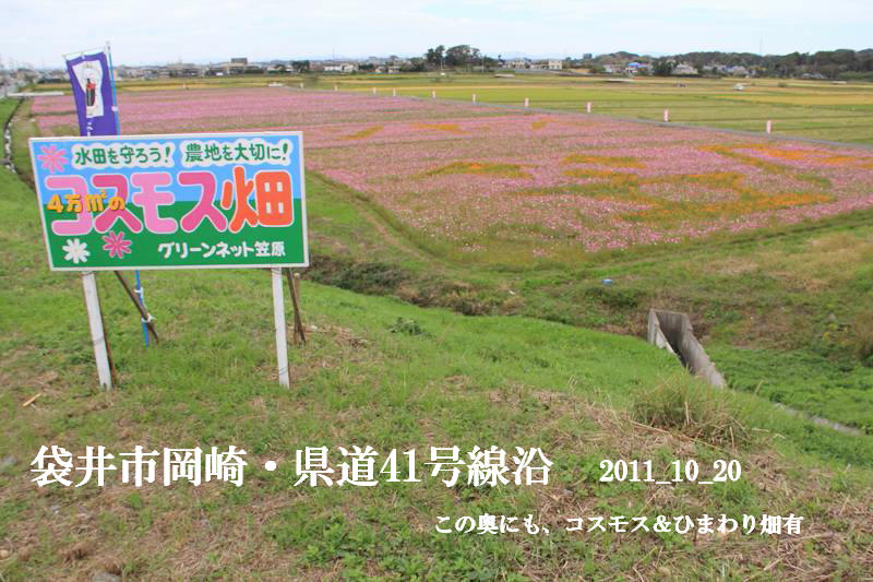 a0188405_2035974.jpg
