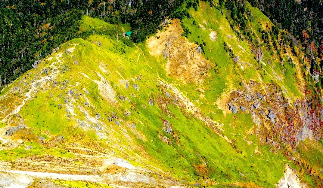 c0078410_151632100.jpg