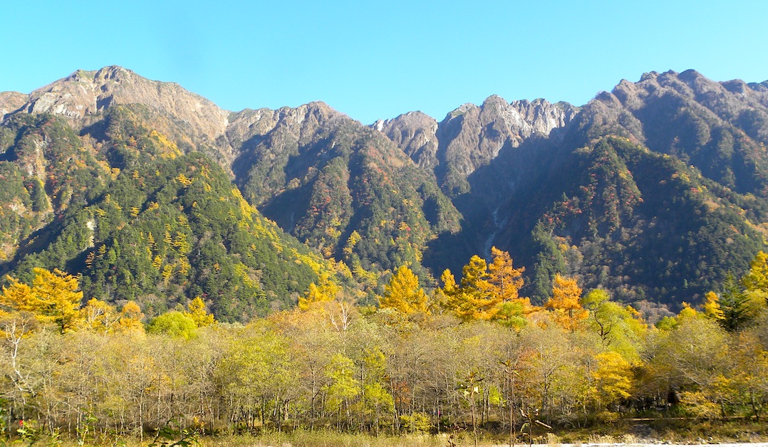 c0078410_1533695.jpg