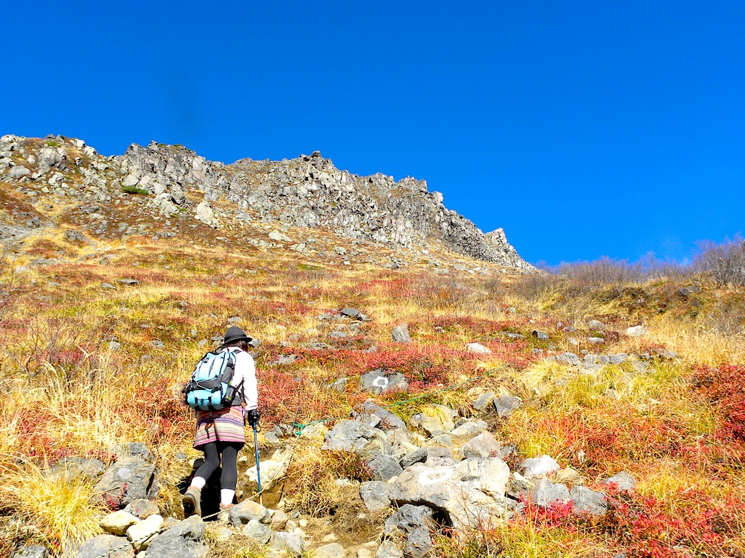 c0078410_9434965.jpg