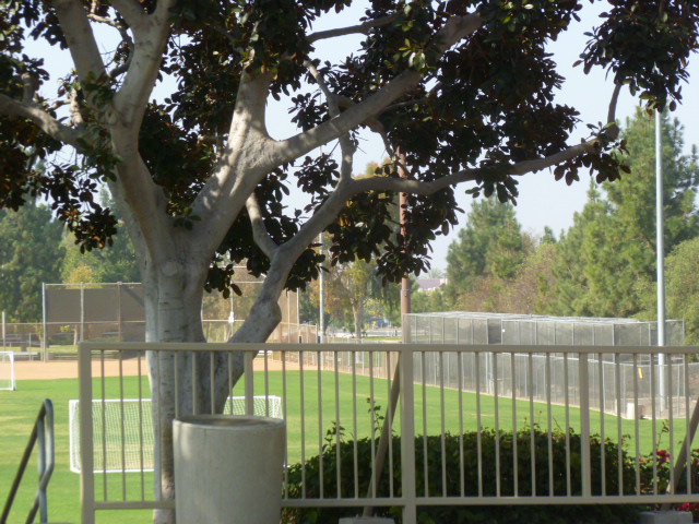 a0144811_0483037.jpg