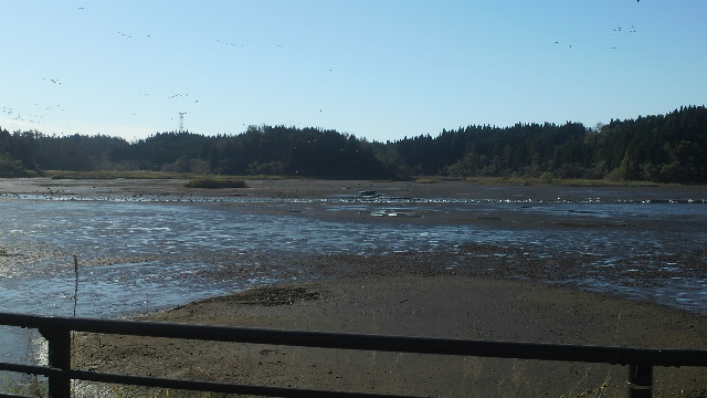 b0035611_21422593.jpg