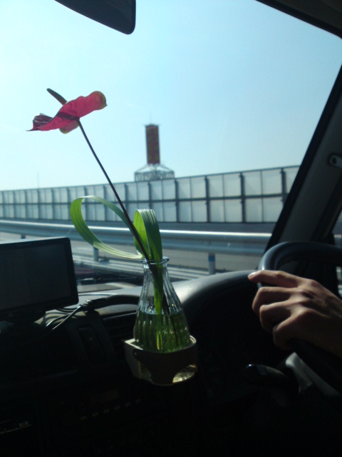 d0134612_20392571.jpg