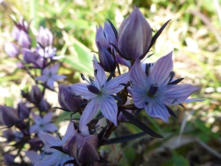 c0042418_8422065.jpg