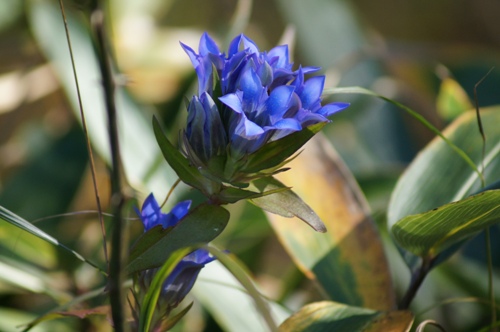 c0042418_8432893.jpg