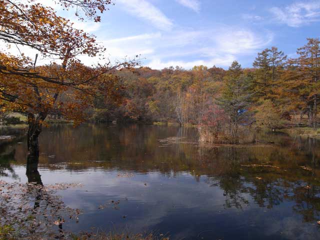 e0049318_1544127.jpg