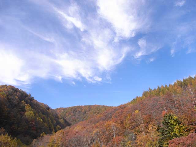 e0049318_8345361.jpg