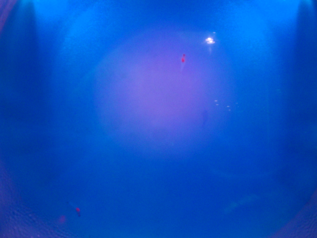 d0223119_9382100.jpg