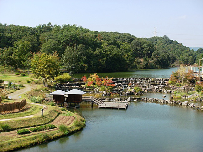 b0068423_21183646.jpg