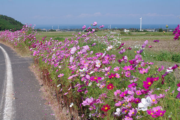 f0007926_14402238.jpg
