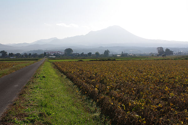 f0007926_14403647.jpg