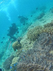 b0100730_2234055.jpg