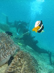 b0100730_22343356.jpg