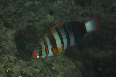 b0100730_22484973.jpg