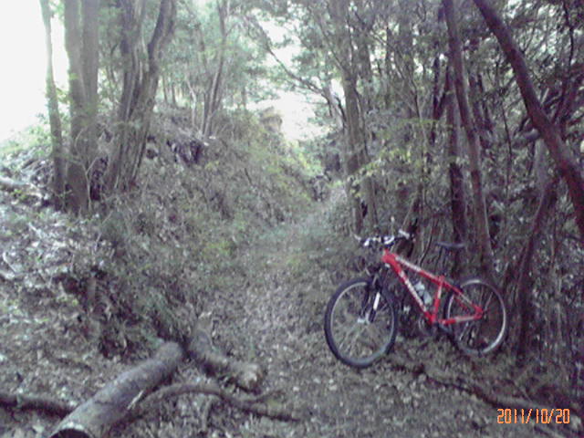b0222530_11504123.jpg