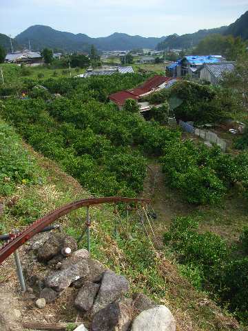 e0241833_2120485.jpg