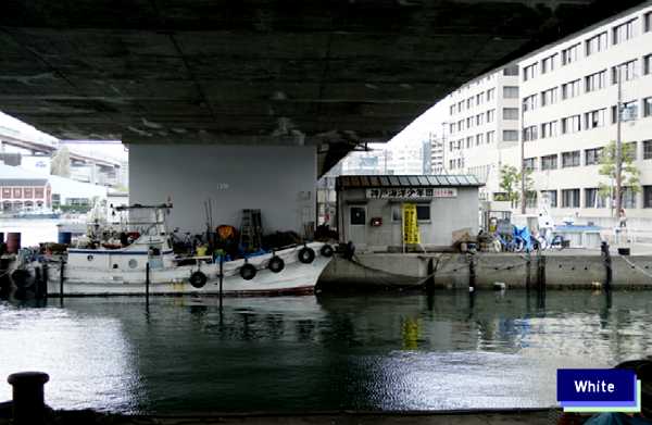 c0227134_2255240.jpg