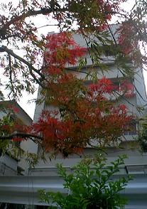 f0034334_1912112.jpg