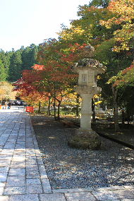a0059035_21431615.jpg