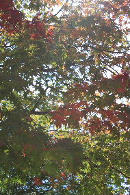 a0059035_21434551.jpg