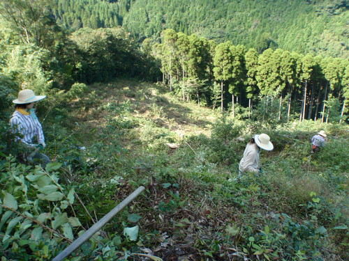 f0187336_191886.jpg