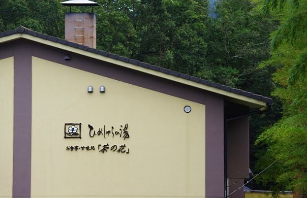 d0218238_1733535.jpg