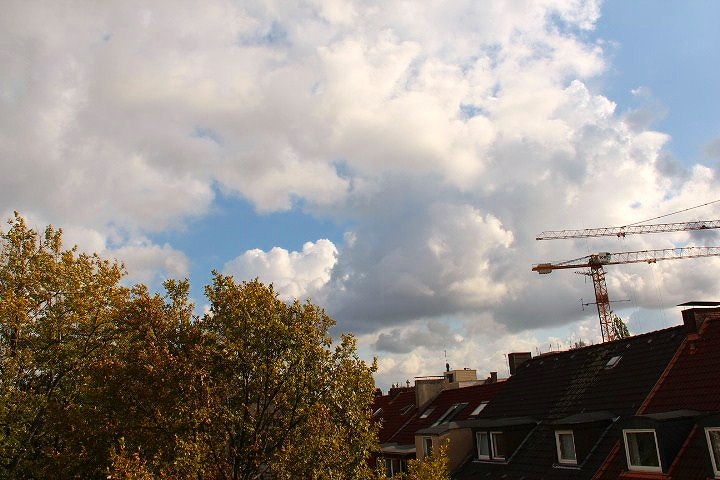 c0153740_2513075.jpg