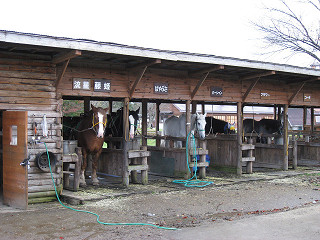 f0065341_1337174.jpg