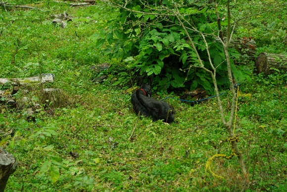 e0203442_0202542.jpg