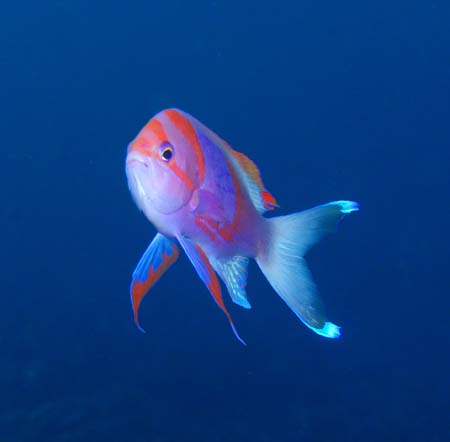 f0014842_1729662.jpg