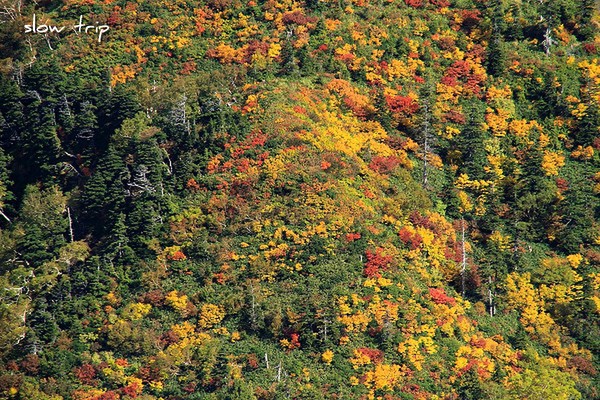 c0228945_14182599.jpg