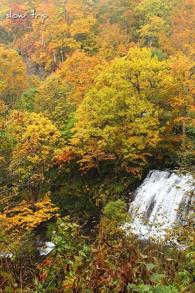 c0228945_1913578.jpg