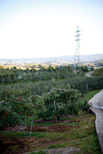 d0008146_2111914.jpg