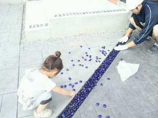e0150849_1521724.jpg