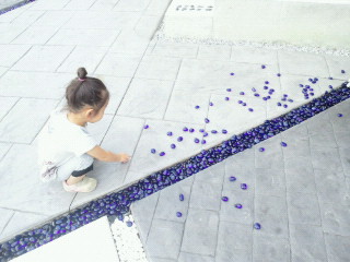 e0150849_1521726.jpg